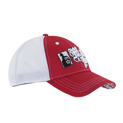 Caps de camionneur en treillis 3D de broderie Caps de baseball 4 panneaux