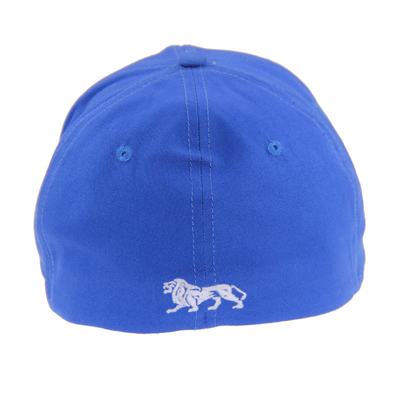 Casquettes de base-ball bleues à 6 panneaux brodées, chapeau de base-ball en plein air pour hommes et femmes pour automne/hiver